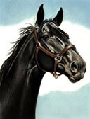 Mares and Foals, Equine Art - Black Mare